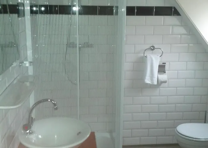 De Gouden Karper Hotel 3*