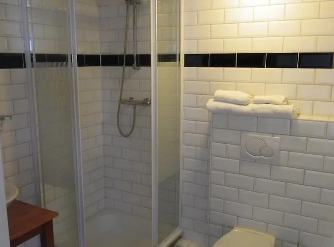 De Gouden Karper Hotel 3*