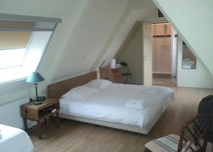 De Gouden Karper Hotel Rustenburg